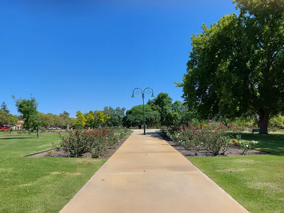 Near Peace Memorial Rose Garden playground, Nedlands