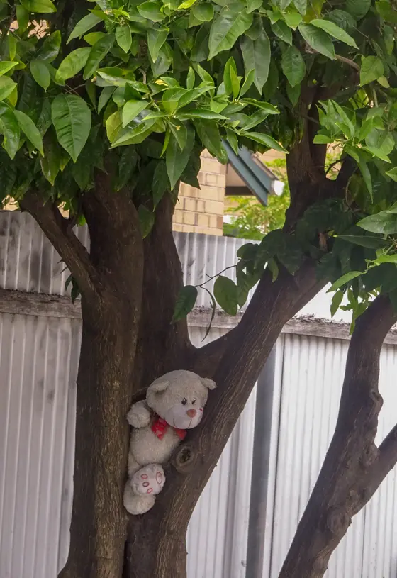 Near Polonia Reserve Playground, Croydon Park