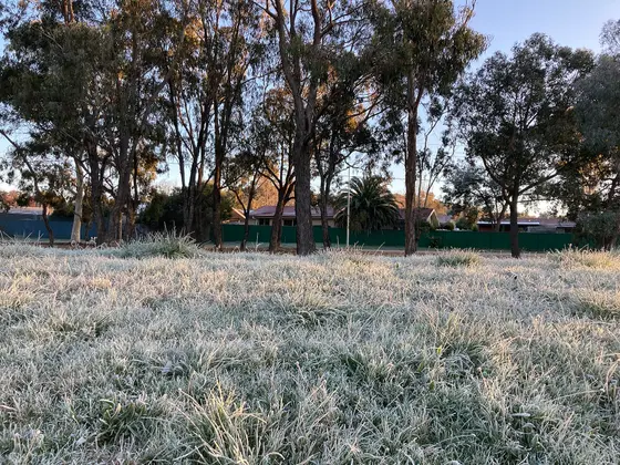 Near Oldfield Circuit Neighbourhood Park, Kambah
