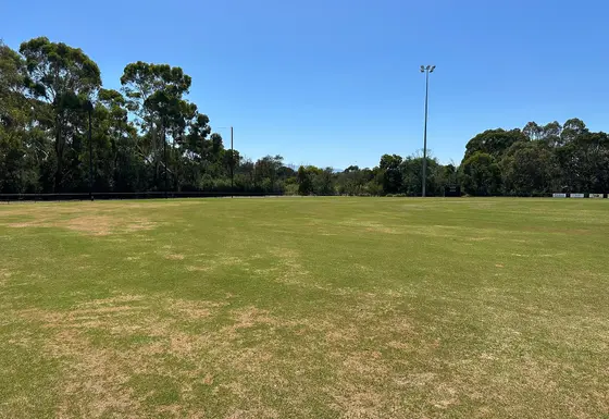 Near Mulgrave Reserve playground, Wheelers Hill