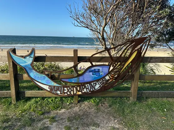 Near Dening Park playground, Byron Bay