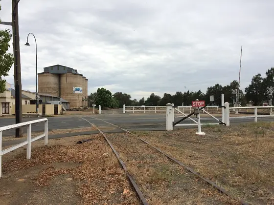 Near Henty Bicentennial Park playground, Henty