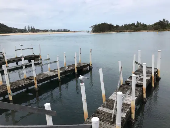 Near Gordon Park Playground, Nambucca Heads