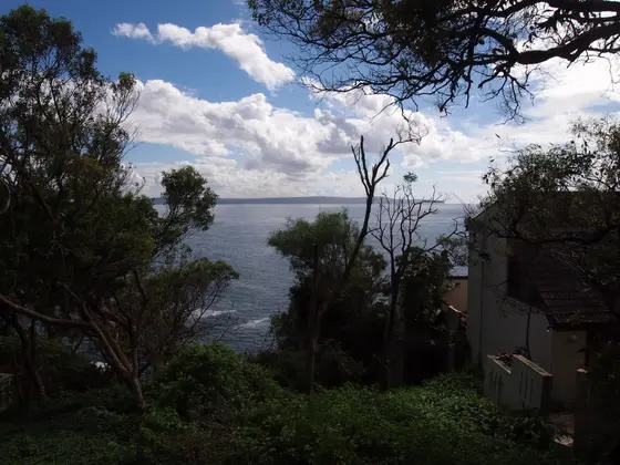 Near Coral Reserve, Avalon