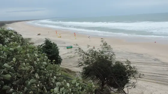 Near Lawrie Hanson Park playground, Rainbow Beach