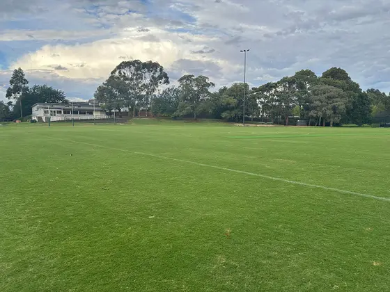Near Ferndale Park Playground, Glen Iris