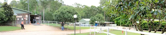 Near Davis CUP Park playground, Oxenford