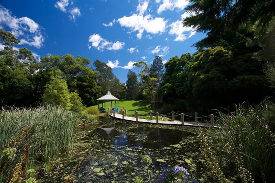 Near Ansett Crescent Reserve playground, Forest Hill
