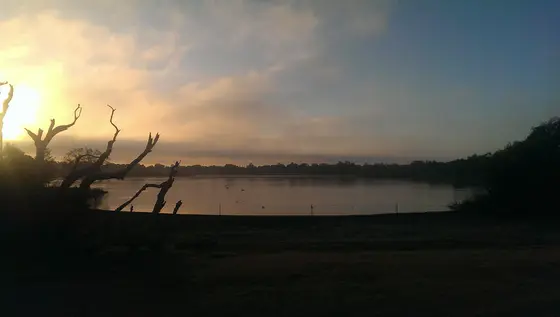 Near Finnerty / Ramsay Reserve playground, Karrinyup
