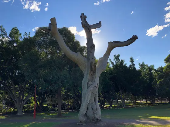 Near St Leonards Park playground, North Sydney