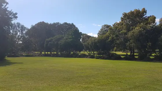 Near Neil McDougall Park playground, Como
