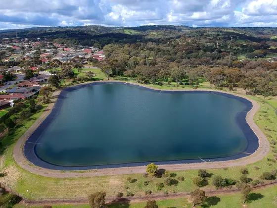 Near Wilfred Taylor Reserve playground, Morphett Vale