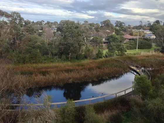 Near Koonung Creek Park playground, Mont Albert North