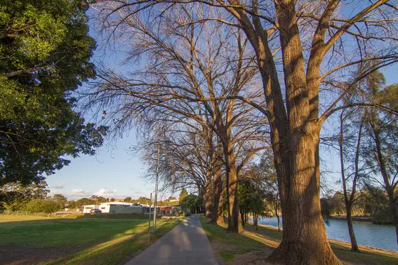 Near Mackey Park, Marrickville