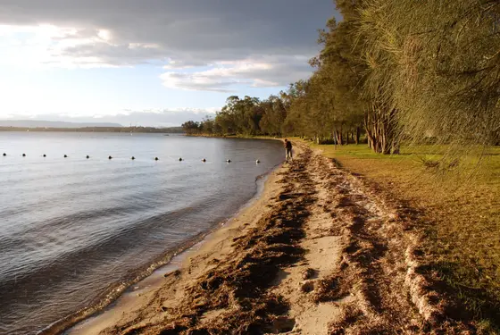 Near Sandy Beach Reserve playground, Summerland Point