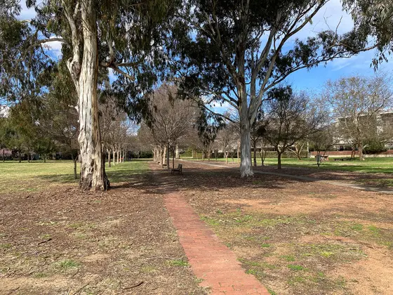 Near Lowanna Street Neighbourhood Park, Braddon