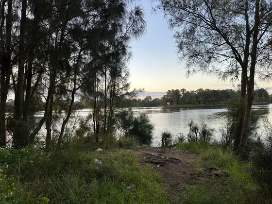 Near Dan Park, Lansvale