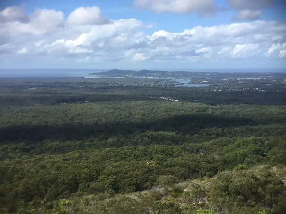 Near Neptune, Noosaville