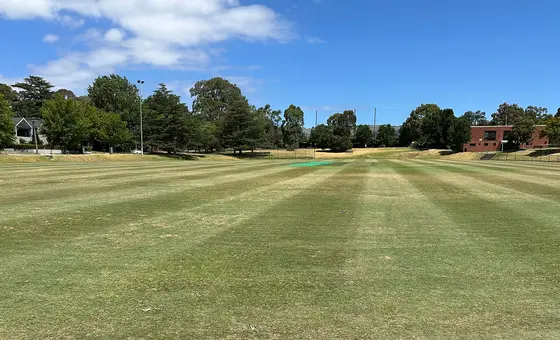 Near Deepdene Park Playground, Deepdene