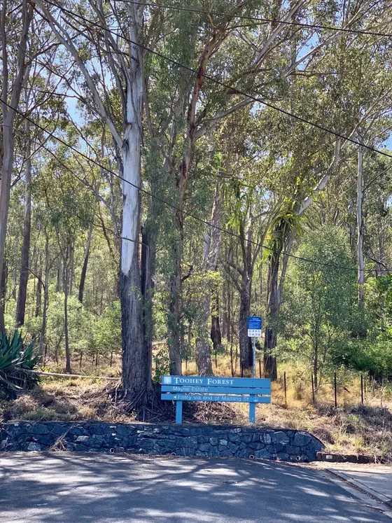 Near Feldt Street Park playground, Moorooka
