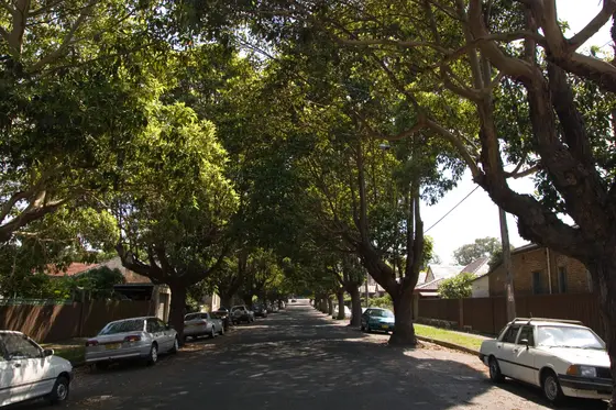Near AB Crofts Playground, Marrickville