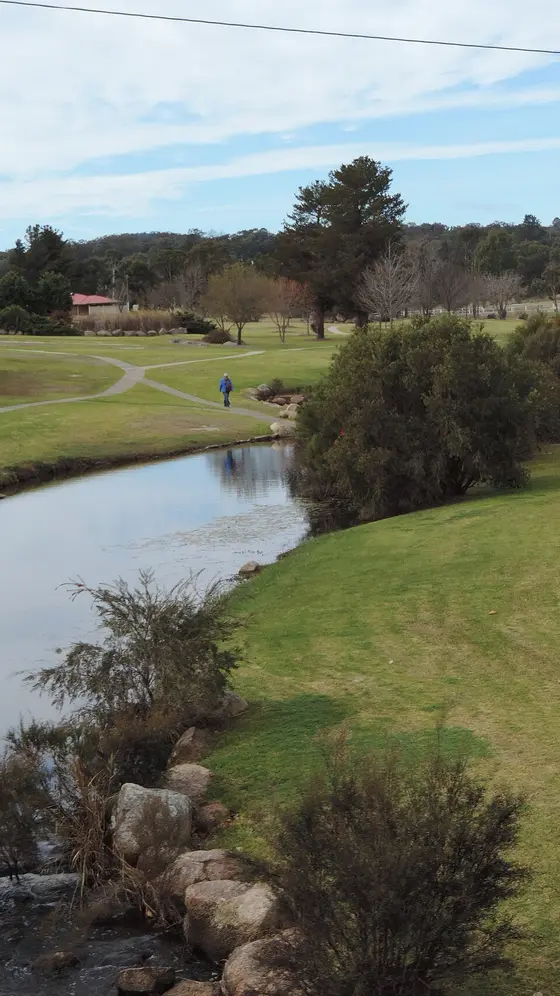 Near Kilpa Street Park, Stanthorpe