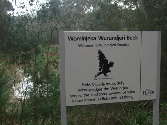 Near Bulleen Park Playground, Bulleen