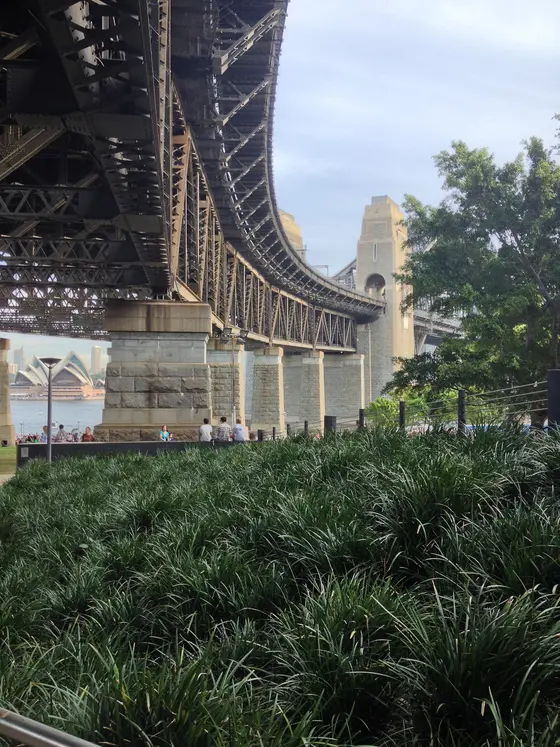 Near Milsons Point Playground, Milsons Point