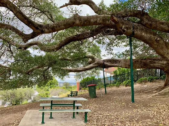 Near Croydon Road Park playground, Paddington