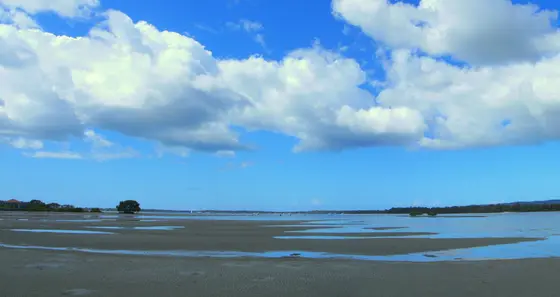 Near Les Lee Park playground, Tin Can Bay