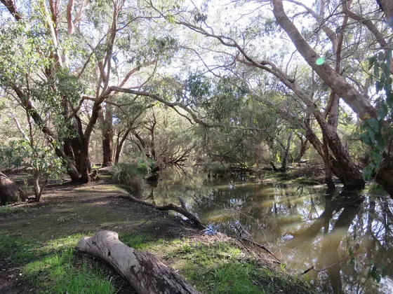 Near John Okey Davis Park Playground, Gosnells