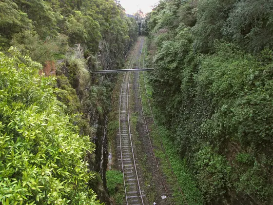 Near Orange Grove Playground, Lilyfield