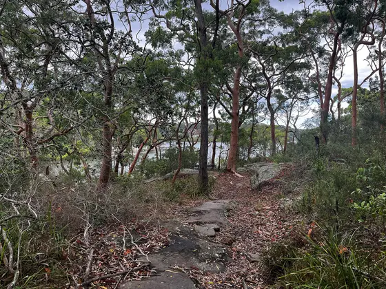 Near Burke Crescent Reserve, Oatley