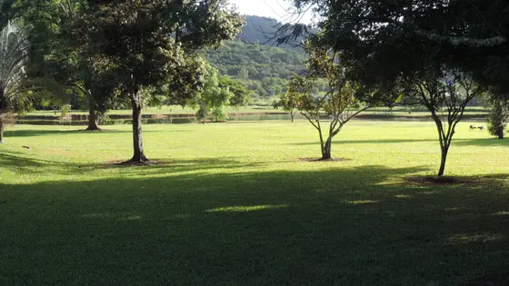 Near Impey Reserve playground, Caravonica