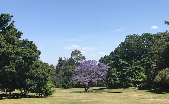 Near Brennan Park, Wollstonecraft