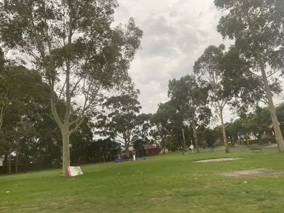 Near Cantrell Reserve playground, Yagoona