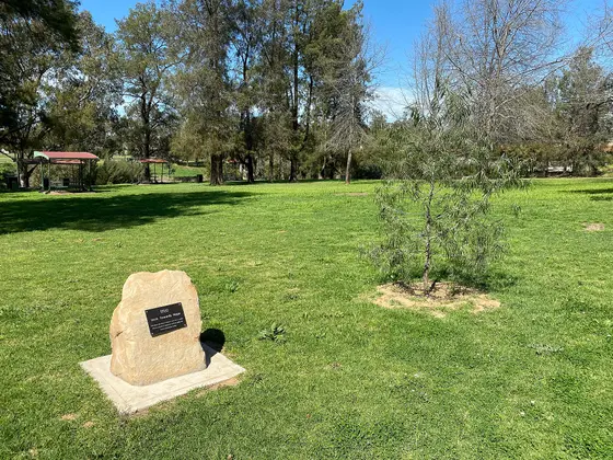Near Lions Park West playground, Dubbo
