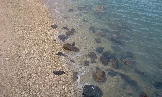 Near Jungle Jumble, Whitsundays