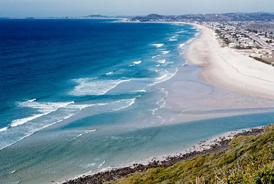 Near Thomas Pettit park playground, Burleigh Heads