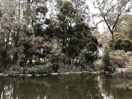 Near John Knowles Park playground, Merrylands West