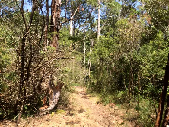 Near John Curtin Reserve, Winston Hills