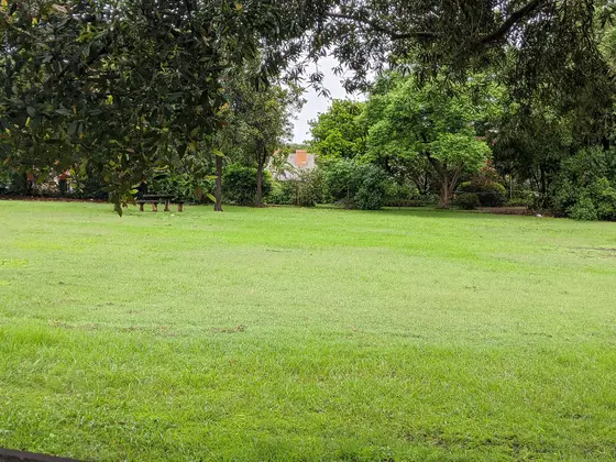 Near McDonald's PlayPlace, Rosehill