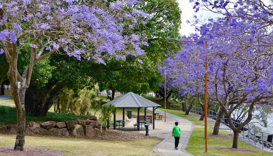 Near Froggy Park, West End
