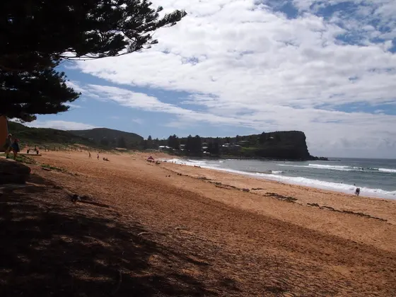 Near Dunbar Park, Avalon
