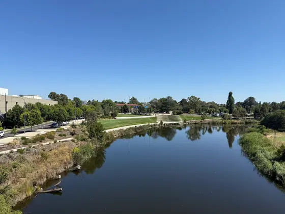 Near Queen Elizabeth II Park, Queanbeyan