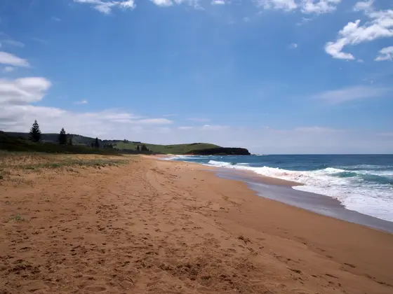 Near South Werri Reserve, Gerringong