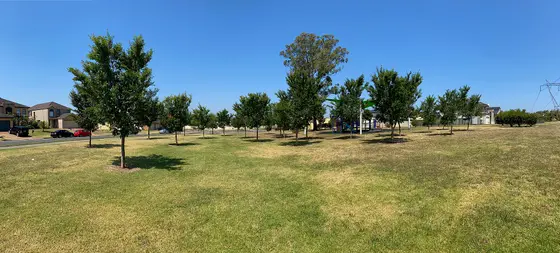 Near Retallack Park playground, Prestons
