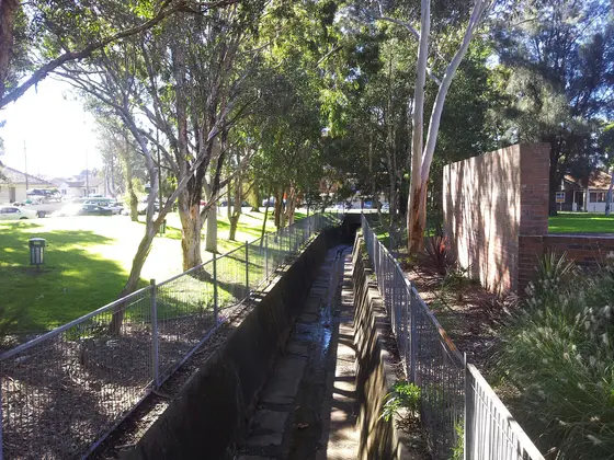 Near Leonard Reserve, Roselands
