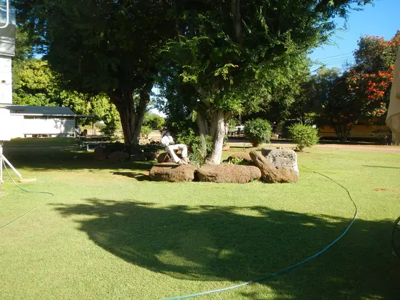 Near Mount Surprise Park playground, Mount Surprise