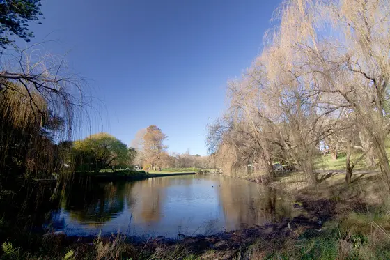 Near Govett Reserve Playground, Randwick